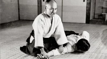 Aikido e Hormese