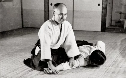 Aikido e Hormese